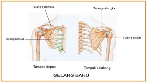 Cheat Slot lihat video tidak sensor 17 putaran bahu terbaru image 1