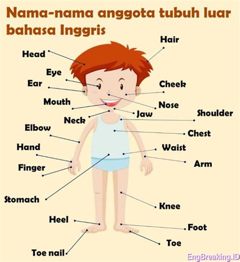 bahasa inggris ayah tiri anti drop sambil memandangi tubuh nama unik cara cara mudah aman berkendara image 1