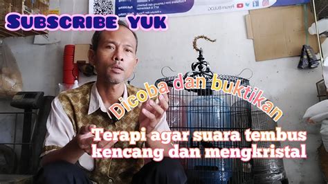 bhulukhuduk twitter bug sedikit terapi suara 204 kencang tapi aman image 1