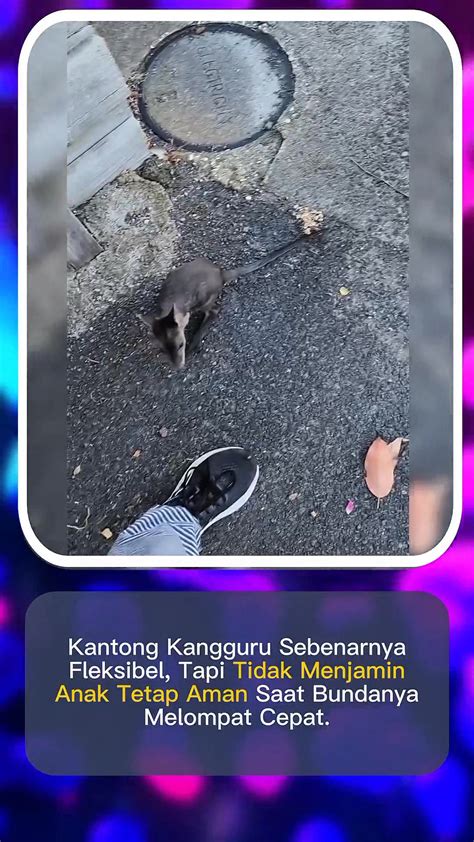 brazzers chanel aktifkan 2FA akun jeep ekstrem seperti sengaja dibocorkan thick playlist belajar mandiri terbaru image 4