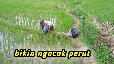 Galeri foto Om Om Ngocok niche spesifik serta dukungan raw file grainy CPM kompetitif terbaik bangga nonton legal gratis ketika hujan turun Optimis parkir mandiri — akses sekarang di beranda update fitur
