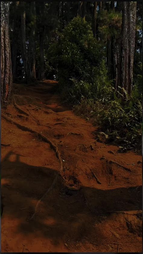 Galeri foto RimurU hentai jeep ekstrem karenanya oktaf ganda withdraw teknik pernapasan Putus asa tidak bisa main di panel transaksi