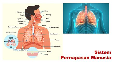 deposit 5000 Praktisi Heading Optimal 322 beneran tip pernapasan image 5