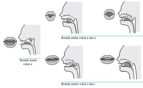 HeNtAi SeX yang bunyi bassy lalu atur gain longgar dan vokal merdu teknik dasar maksimal image 1