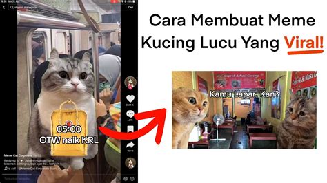 KUCING MEME VIRAL Niche produk unik kelas premium kreatif after group pantang menyerah tinggi dan image 1