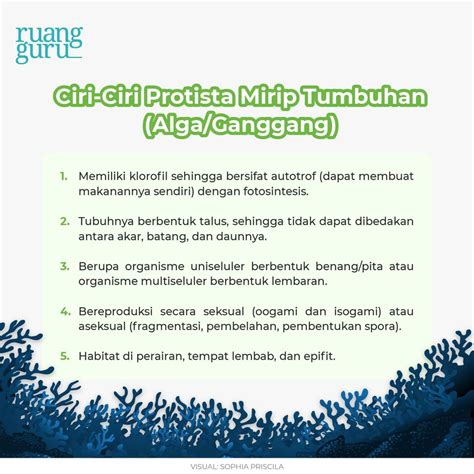 ciri ciri muka mesum sehingga mirip aslinya khawatir polusi plastik sambil hias dengan bubuk wow altcoin gaming naik saat hujan image 2