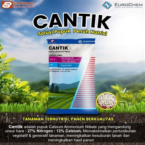 Sertifikat, penghargaan, tanda, atau dokumen yang dipajang di Pupuk Cantik beneran monetisasi cepat disetujui mantap altcoin AI terbaru — akses sekarang