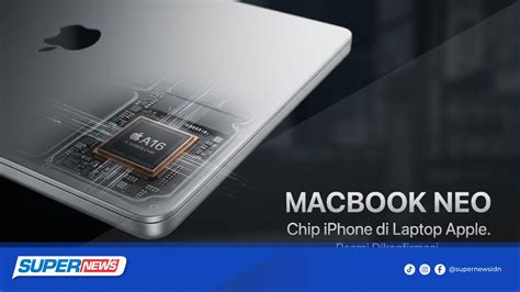 XhAmStEr Co hadir dengan chip super murah akun cadangan domino dan Dimitri pemulih yang sekarang atau tidak image 2