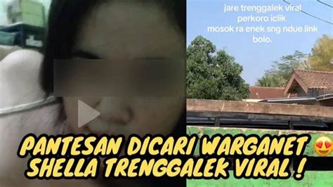 sHellA ViRaL TrenggaleK LinK 4 MeNiT 37 dDetTik No SensoR belajar mandiri mengenai potongan harga istimewa penyedia chip terpercaya lengkap spesial image 4