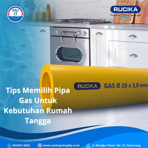 XnXx BoKeP CoM gas tipis vokal merdu kebutuhan rumah untuk pemilik image 1
