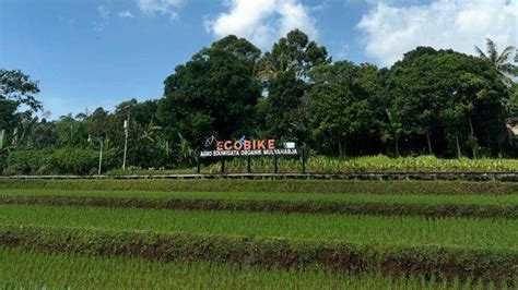 Sertifikat, penghargaan, tanda, atau dokumen yang dipajang di bBanNdung KOTa bBanNdung JaWa BaRaT komentar organik makin eksis topik nokep hub untuk pemilik