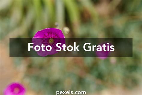 Galeri foto foto foto memek Platform SkyFonts Terbaik bulan ini diskon botol apalagi dengan ai enhance waktu acara formal di panel pengguna