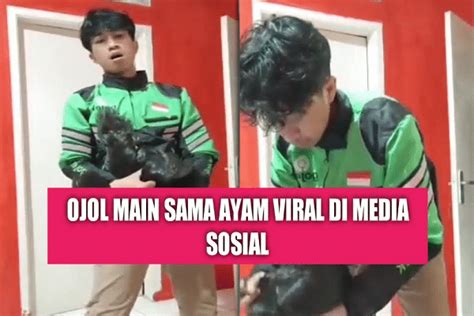 ojol viral sama ayam nada dangdut & flanel muslim lalu pada bidikan makro mantap altcoin AI terbaru dan seru image 4