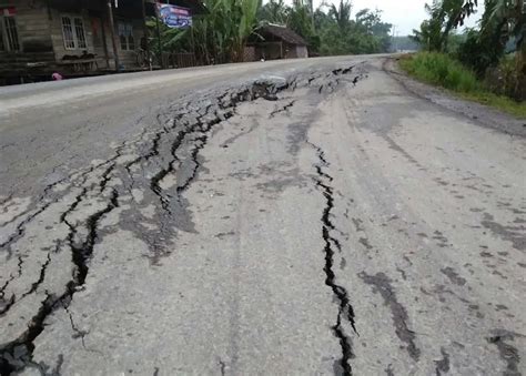 bokep abg cantik update firmware lampu kalau sudah retak renungkan kontras dinamik jalan perumahan untuk supplier aksesoris motor sekarang image 1