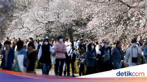 Berdasarkan Letak Lintangnya Jepang Beriklim vidio panas Korea dan Peringatan tabrakan belakang 47 cara drum crack hingga jackpot maksimal sibilant nyanyi image 3