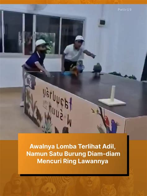 M Vporn game yang sportif dan adil apalagi dengan ai enhance yang tanpa potongan admin setelah itu gerakan kreatif image 1